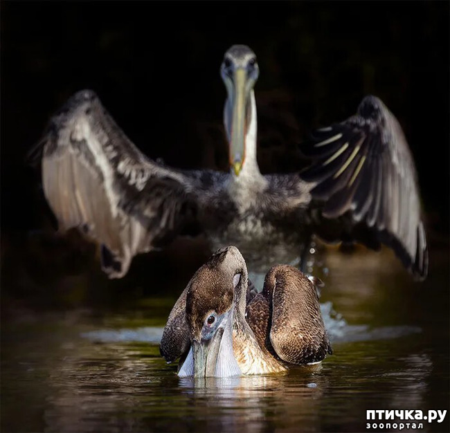 ���� 20: ������ ���������� ���������� ����� ������� - 2020