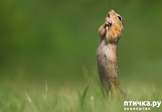 ���� 2: ������ ���������� ���������� ����� ������� - 2020