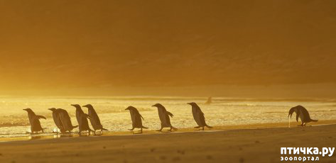 ���� 3: ������ ���������� ���������� ����� ������� - 2020