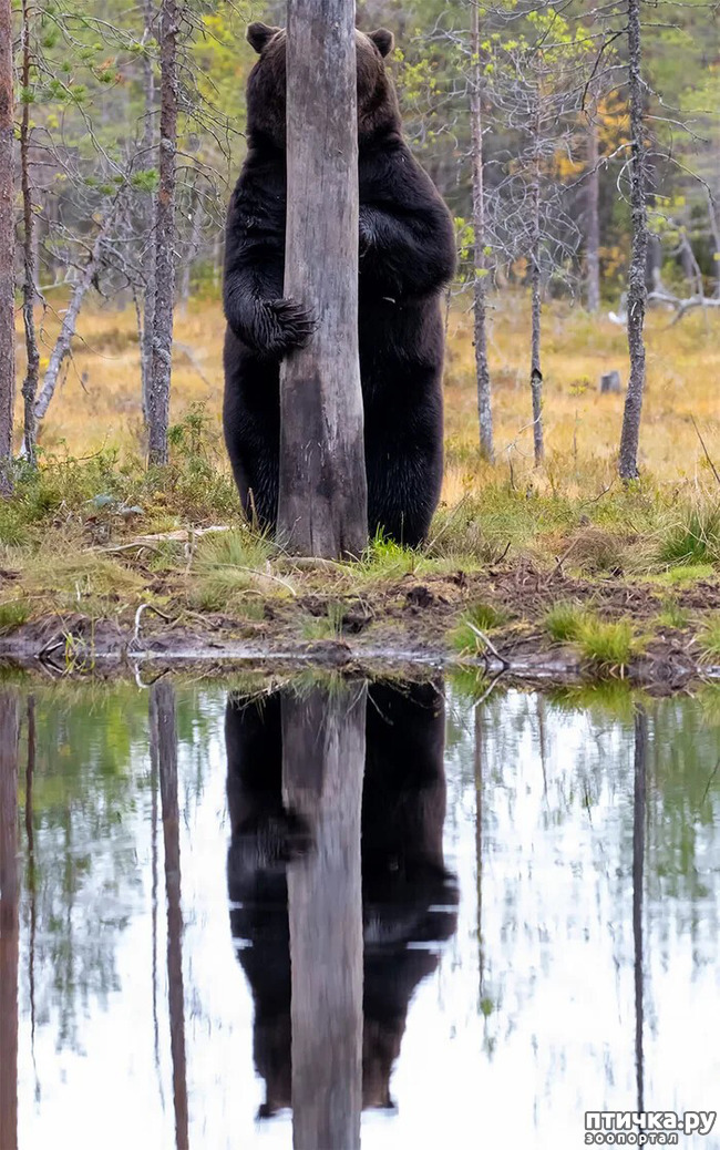 ���� 16: ������ ���������� ���������� ����� ������� - 2020