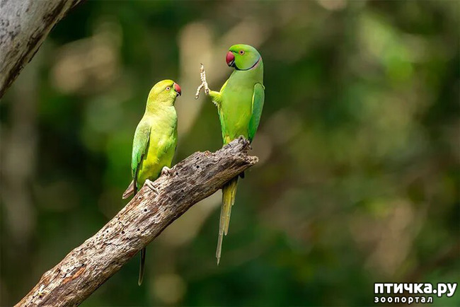 ���� 12: ������ ���������� ���������� ����� ������� - 2020