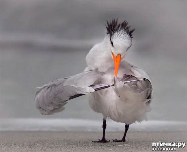 ���� 9: ������ ���������� ���������� ����� ������� - 2020