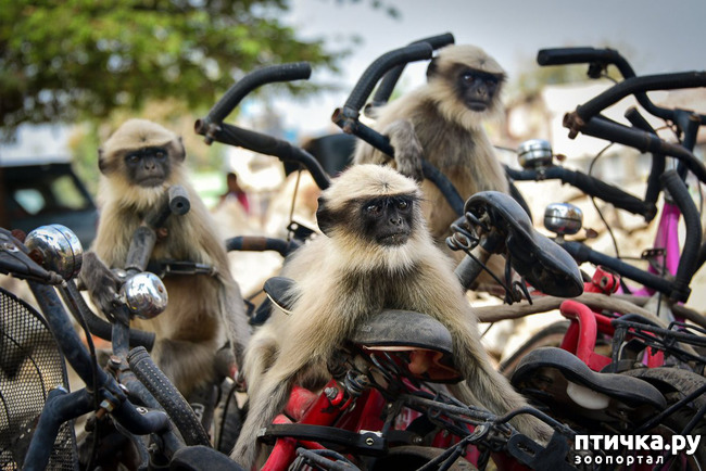 ���� 22: ������ ���������� ���������� ����� ������� - 2020