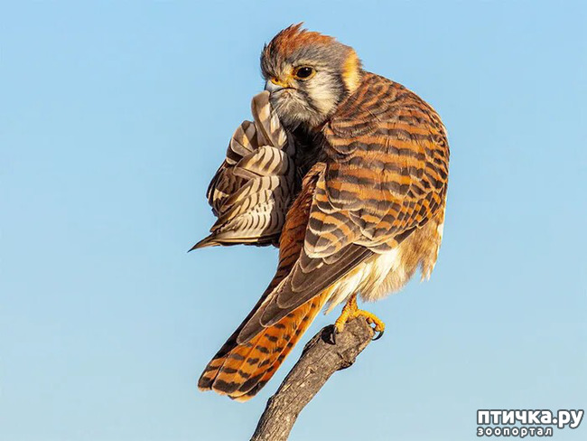 ���� 8: ������ ���������� ���������� ����� ������� - 2020