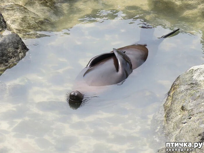 ���� 6: ������ ���������� ���������� ����� ������� - 2020