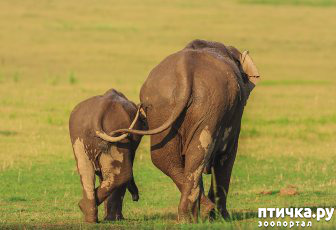 ���� 30: ������ ���������� ���������� ����� ������� - 2020