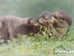 ���� 32: ������ ���������� ���������� ����� ������� - 2020