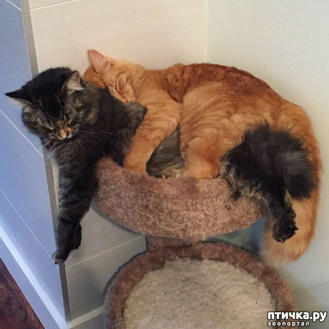 ���� 1: ������� � ����� - ��� �������!!!