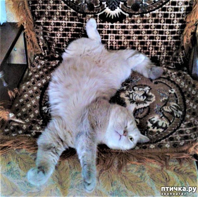 ���� 2: ������� � ����� - ��� �������!!!