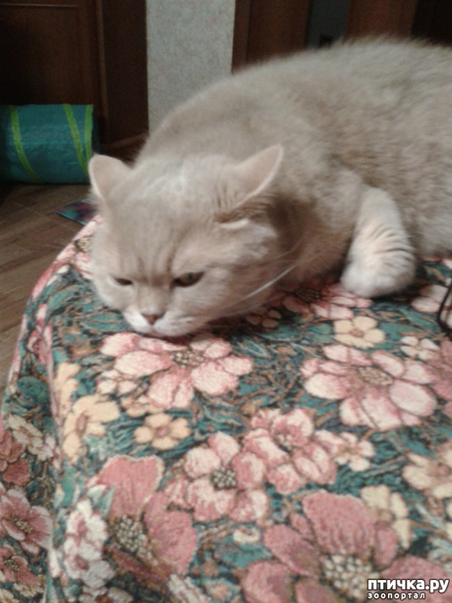 ���� 3: ������� � ����� - ��� �������!!!