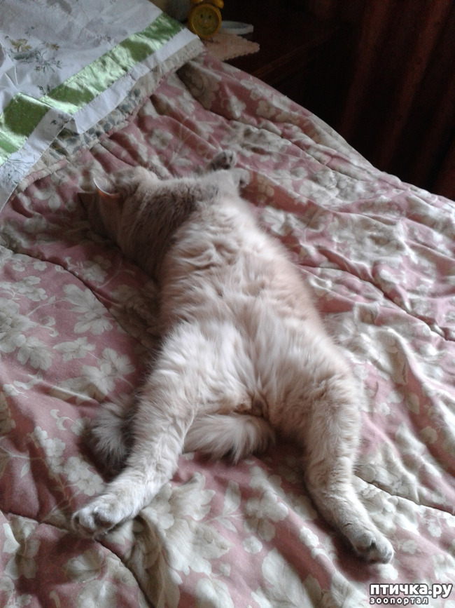 ���� 4: ������� � ����� - ��� �������!!!