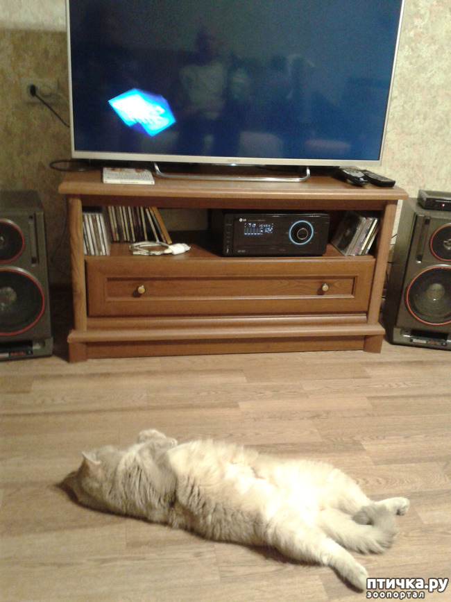 ���� 6: ������� � ����� - ��� �������!!!