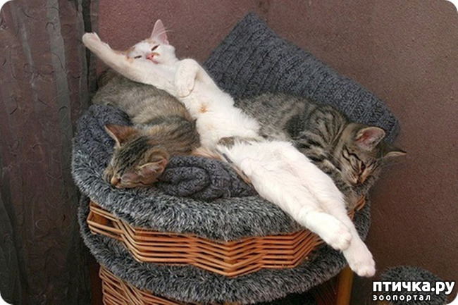 ���� 7: ������� � ����� - ��� �������!!!