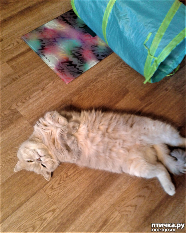 ���� 8: ������� � ����� - ��� �������!!!