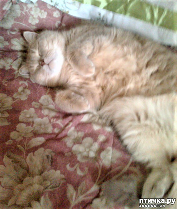 ���� 10: ������� � ����� - ��� �������!!!