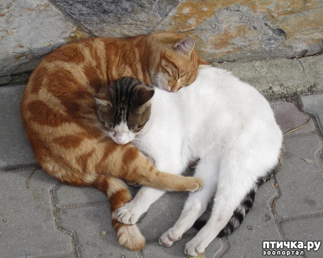 ���� 11: ������� � ����� - ��� �������!!!