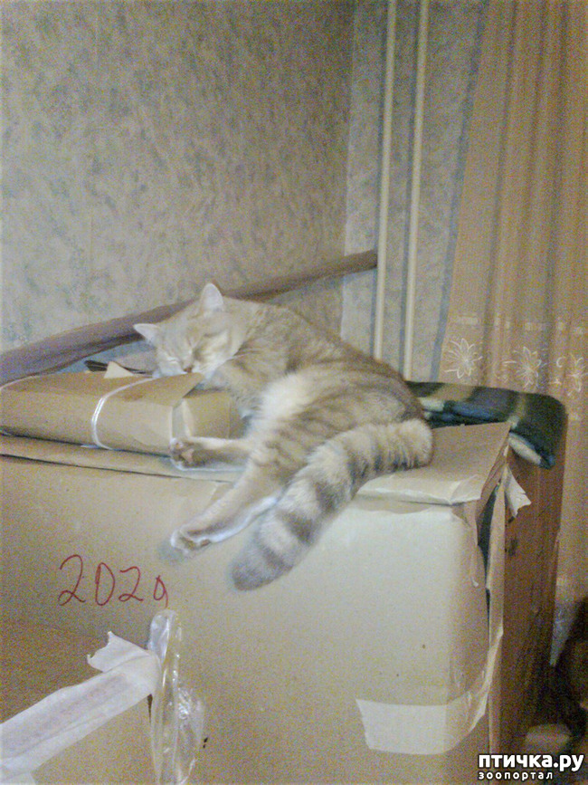 ���� 12: ������� � ����� - ��� �������!!!