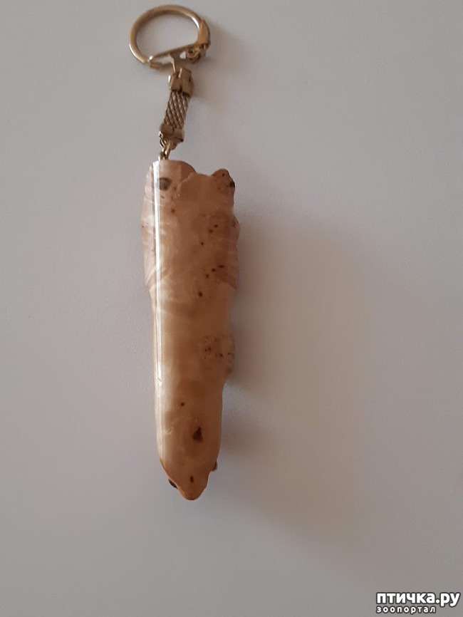 ���� 2: ������� �� �������