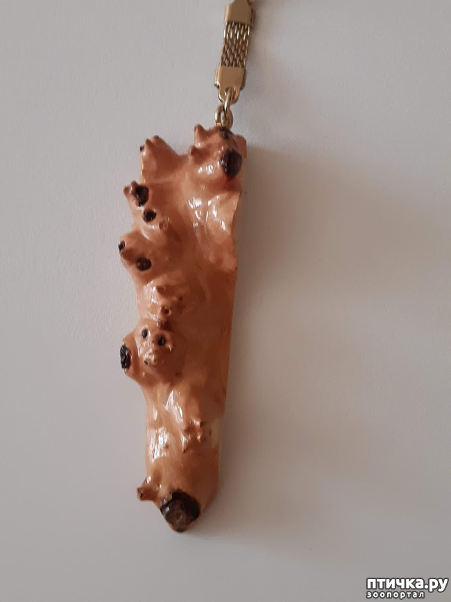 ���� 3: ������� �� �������