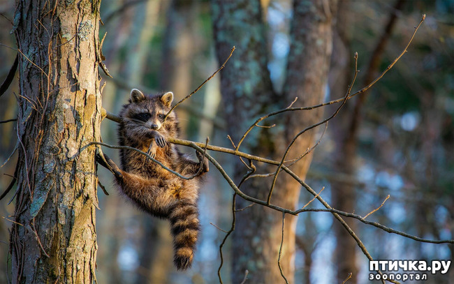 ���� 37: ������ ���������� ���������� ����� ������� - 2020