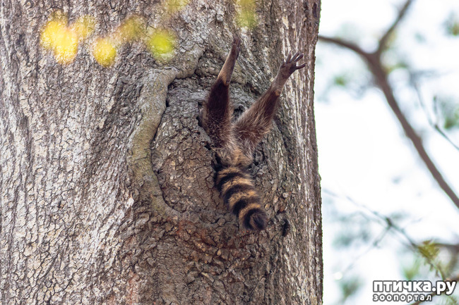 ���� 31: ������ ���������� ���������� ����� ������� - 2020