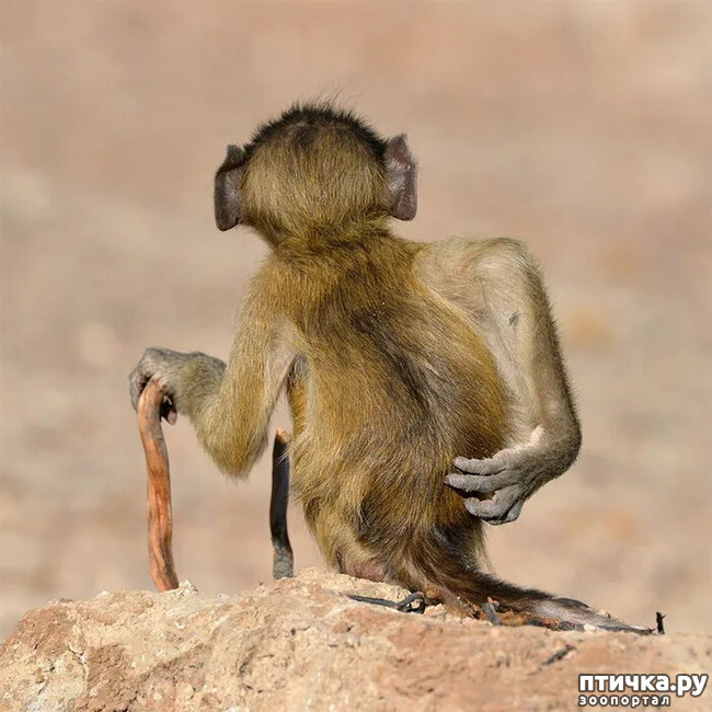 ���� 28: ������ ���������� ���������� ����� ������� - 2020