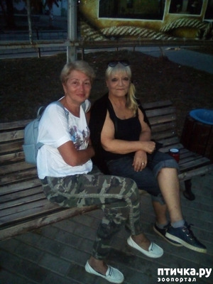 ����: ������� ������ ������...