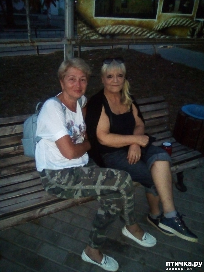 ���� 1: ������� ������ ������...