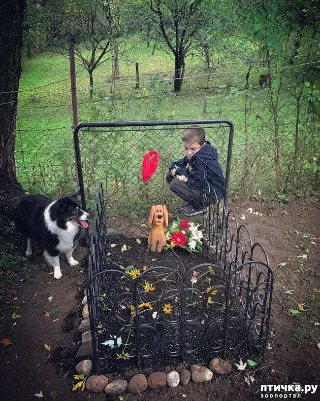 ���� 1: FB �� ����� �� �������, � �������!