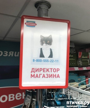 ����: ����� ����� ���������� ������� ����������� ����� �������������...