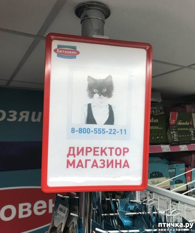 ���� 1: ����� ����� ���������� ������� ����������� ����� �������������...