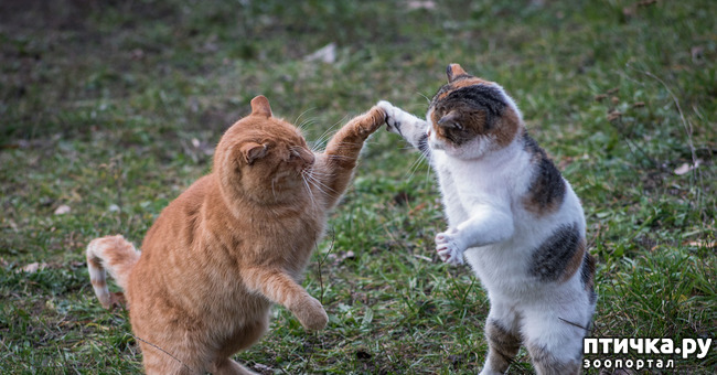 ���� 3: ����� ����� ���������� ������� ����������� ����� �������������...