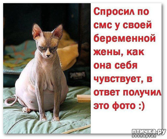 ���� 4: ����� ����� ���������� ������� ����������� ����� �������������...