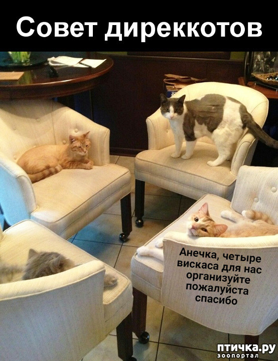 ���� 7: ����� ����� ���������� ������� ����������� ����� �������������...