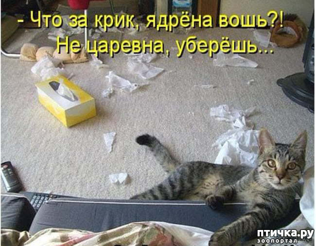 ���� 8: ����� ����� ���������� ������� ����������� ����� �������������...