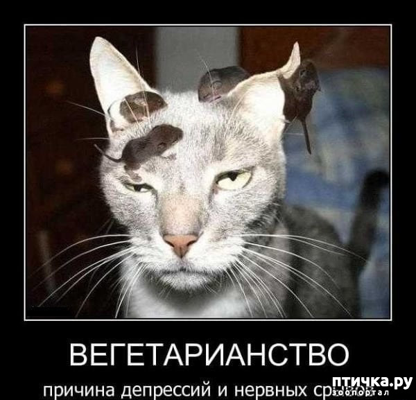 ���� 10: ����� ����� ���������� ������� ����������� ����� �������������...