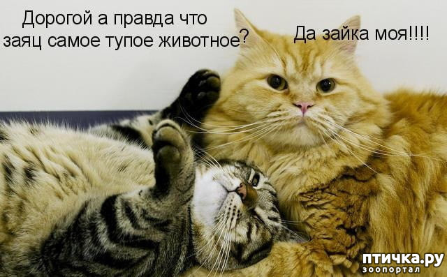 ���� 11: ����� ����� ���������� ������� ����������� ����� �������������...