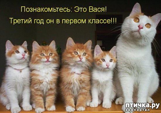 ���� 13: ����� ����� ���������� ������� ����������� ����� �������������...