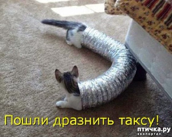 ���� 14: ����� ����� ���������� ������� ����������� ����� �������������...