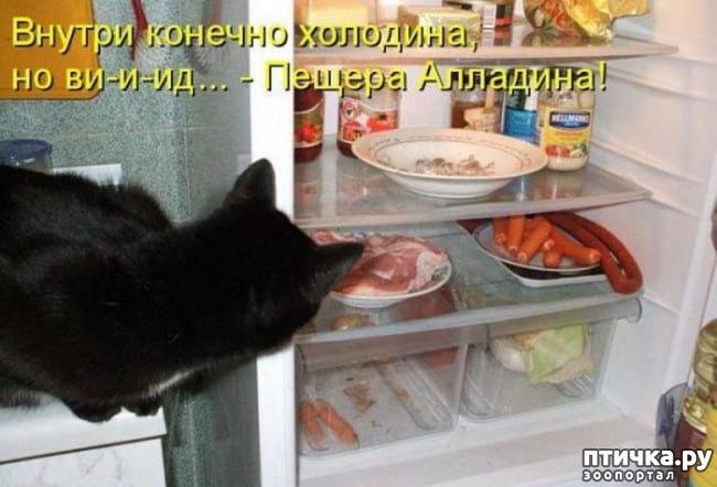 ���� 15: ����� ����� ���������� ������� ����������� ����� �������������...