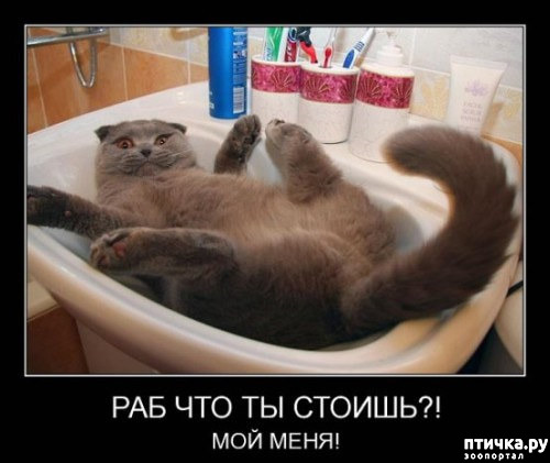 ���� 16: ����� ����� ���������� ������� ����������� ����� �������������...