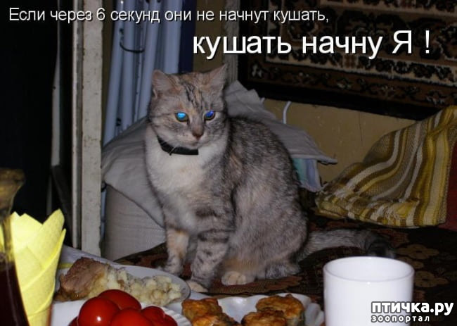 ���� 19: ����� ����� ���������� ������� ����������� ����� �������������...