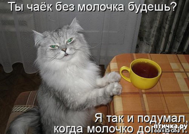 ���� 20: ����� ����� ���������� ������� ����������� ����� �������������...