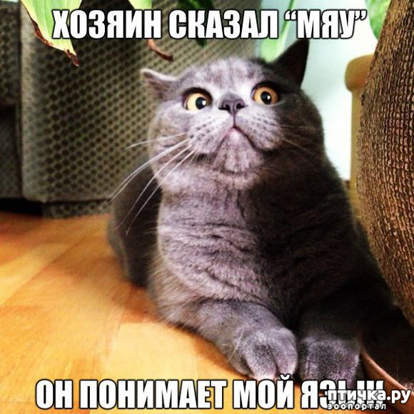 ���� 25: ����� ����� ���������� ������� ����������� ����� �������������...