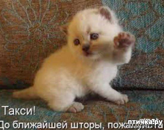 ���� 26: ����� ����� ���������� ������� ����������� ����� �������������...