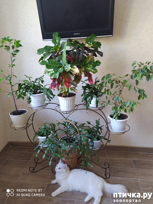 ����: ��� ���������