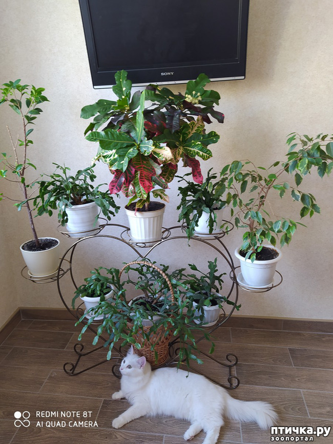 ���� 1: ��� ���������