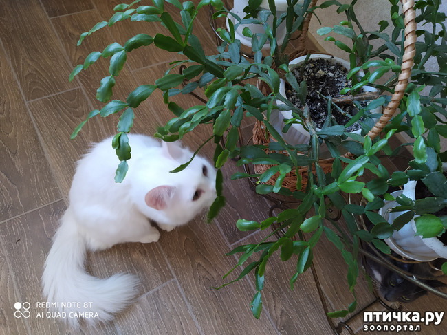 ���� 2: ��� ���������