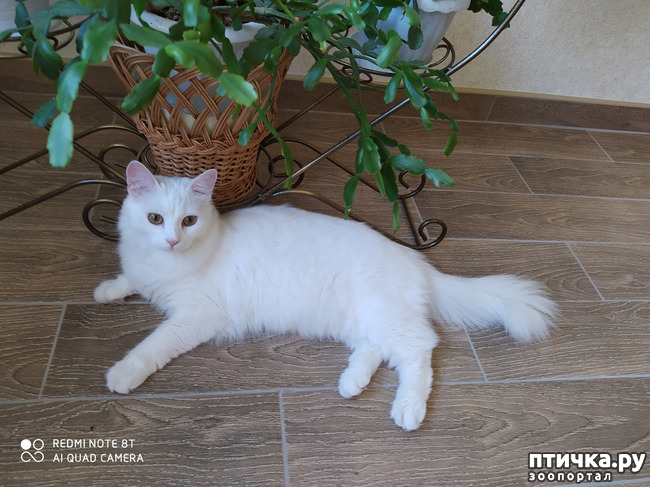 ���� 3: ��� ���������