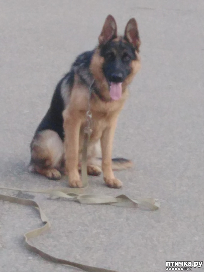 ���� 1: ���������������� ����������� ���������� �����